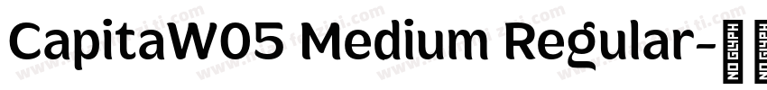 CapitaW05 Medium Regular字体转换